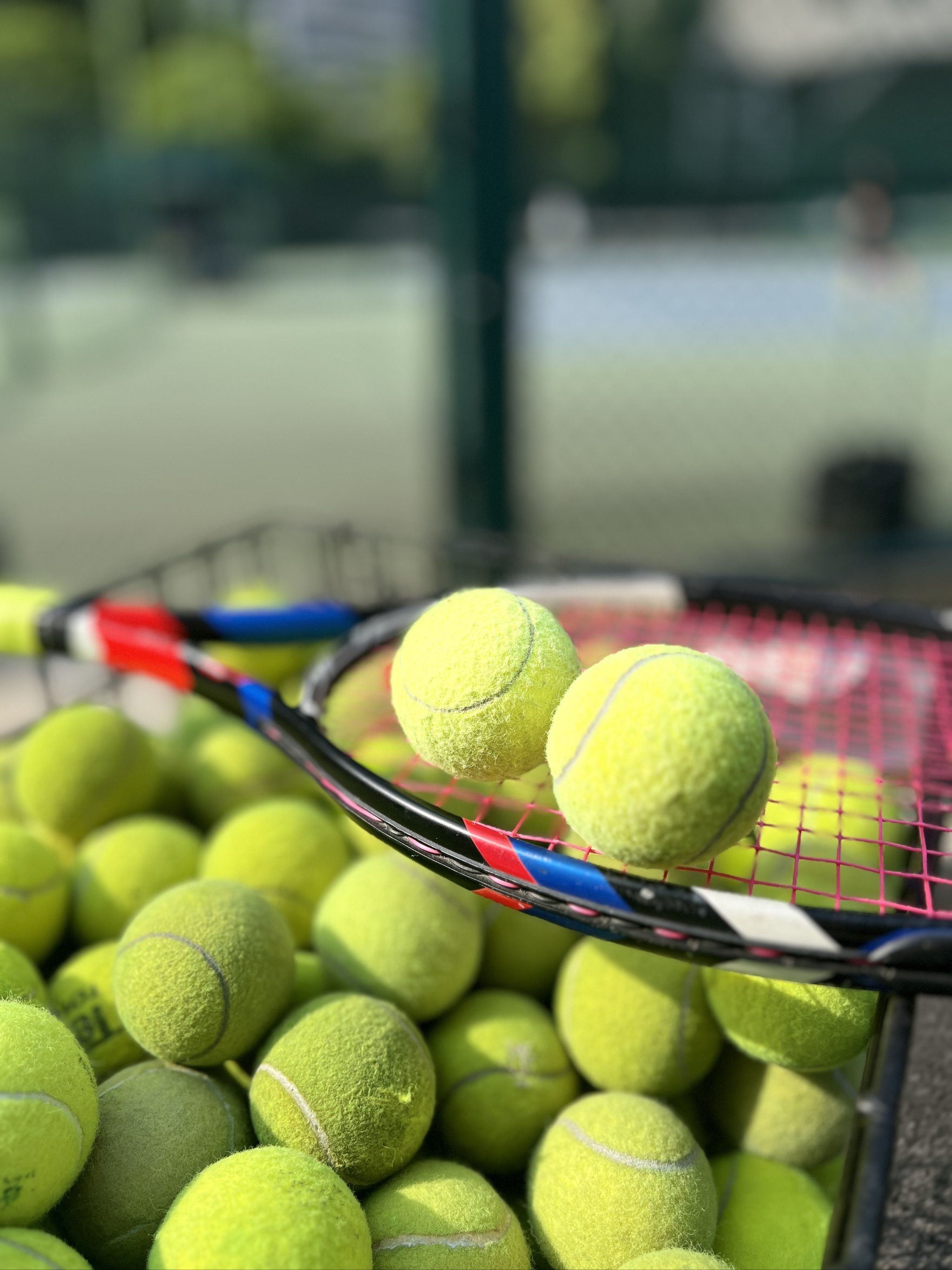 法演示到画 法演示到画