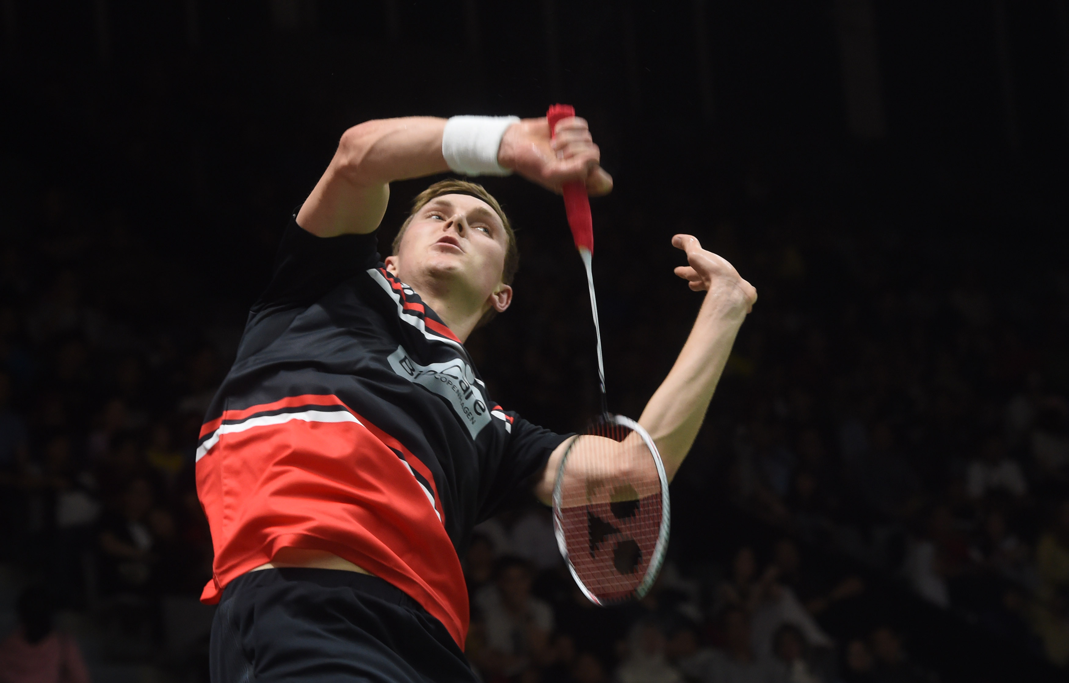 的浅景深 的浅景深